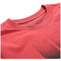 Herren-T-Shirt Alpine Pro Bolen 2