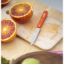 Messer Opinel N°113 Sweet pop