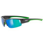 Sonnenbrille Uvex sportstyle 215 grün Green