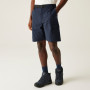 Herrenshorts Regatta Mallen Shorts