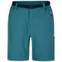 Herrenshorts Dare 2b Tuned In ProShort grün/blau MediteranGrn