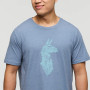 Herren-T-Shirt Cotopaxi Into the Pines T-Shirt