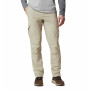 Herrenhose Columbia Silver Ridge™ II Cargo Pant beige Fossil