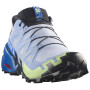 Herren Laufschuhe Salomon Speedcross 6 GTX Icon
