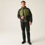 Herrenjacke Regatta Dalent