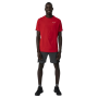 Herrenshorts Salewa Pedroc 2 Dst M Shorts