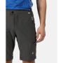 Herrenhose Regatta Highton Z/O Trs