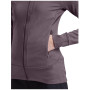 Damen Funktions-Sweatshirt Icebreaker Women Merino 260 Quantum IV LS Zip