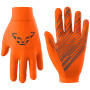 Handschuhe Dynafit Upcycled Thermal Gloves orange ibis/8160