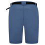 Herrenshorts Dare 2b Tuned In ProShort