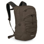 Farbe: braun