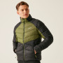 Herrenjacke Regatta Dalent