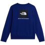 Herren-Sweatshirt The North Face M Evolution Box Nse Regular Crew