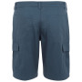 Herrenshorts Regatta Ruwan Shorts