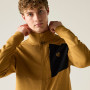 Herren-Sweatshirt Dare 2b Venture Stretch Midlayer