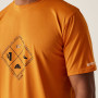 Herren-T-Shirt Regatta Fingal Stretch