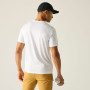 Herren-T-Shirt Regatta Fingal Graphic T-Shirt