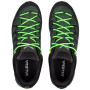Herrenschuhe Salewa Ms Mtn Trainer Lite Gtx