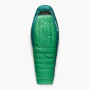 Daunenschlafsack Sea to Summit Ascent -9C Long grün Rain Forest Green