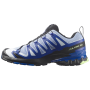 Herrenschuhe Salomon Xa Pro 3D V9 Icon