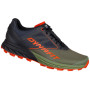 Herren Laufschuhe Dynafit Alpine schwarz/grün Winter Moss/Black Out
