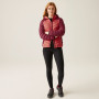 Damen-Winterjacke Regatta Women Hooded Dalent